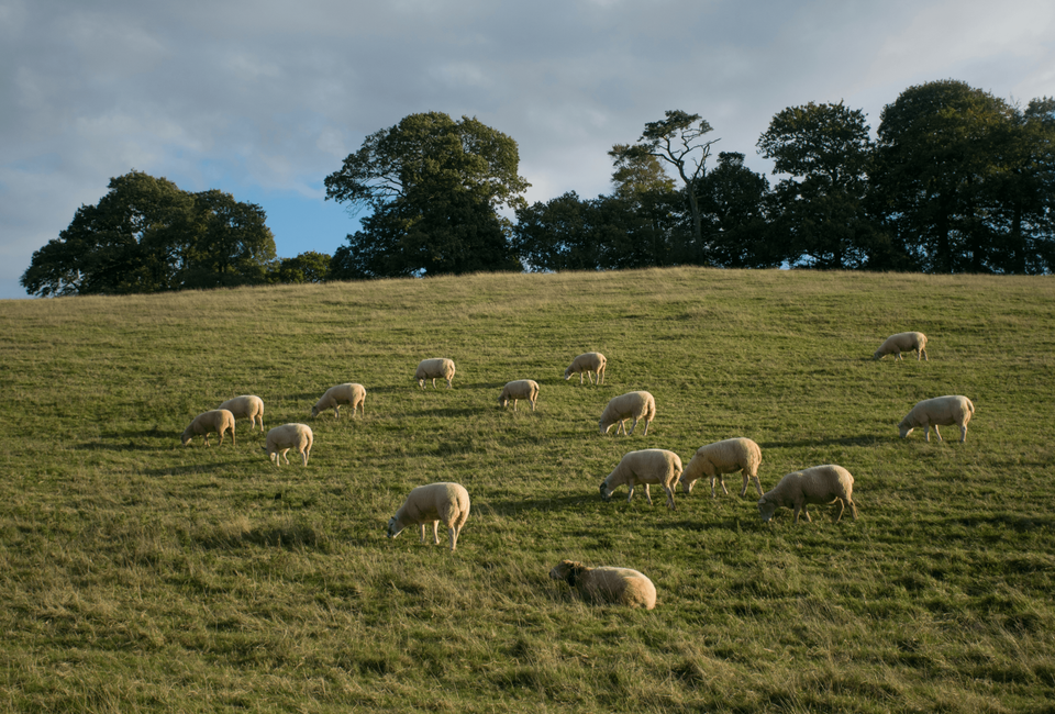 Current Services - Serving Albury–Wodonga with premium electrical solutions.